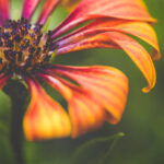 2025122期双色球开奖结果最新公布 11a8eod