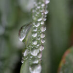 4418开奖直播现场全程高清实时放送 5o5rp0hz