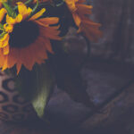 2025119期双色球开奖号码及中奖详情公布 eid1xb0