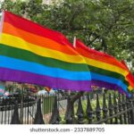 2025129期双色球开奖号码正式公布 j0d7l