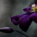 2025126期双色球开奖结果最新公布 snz96