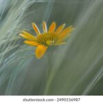 430开奖前后出,惊喜大奖花落谁家? u0ul066cg